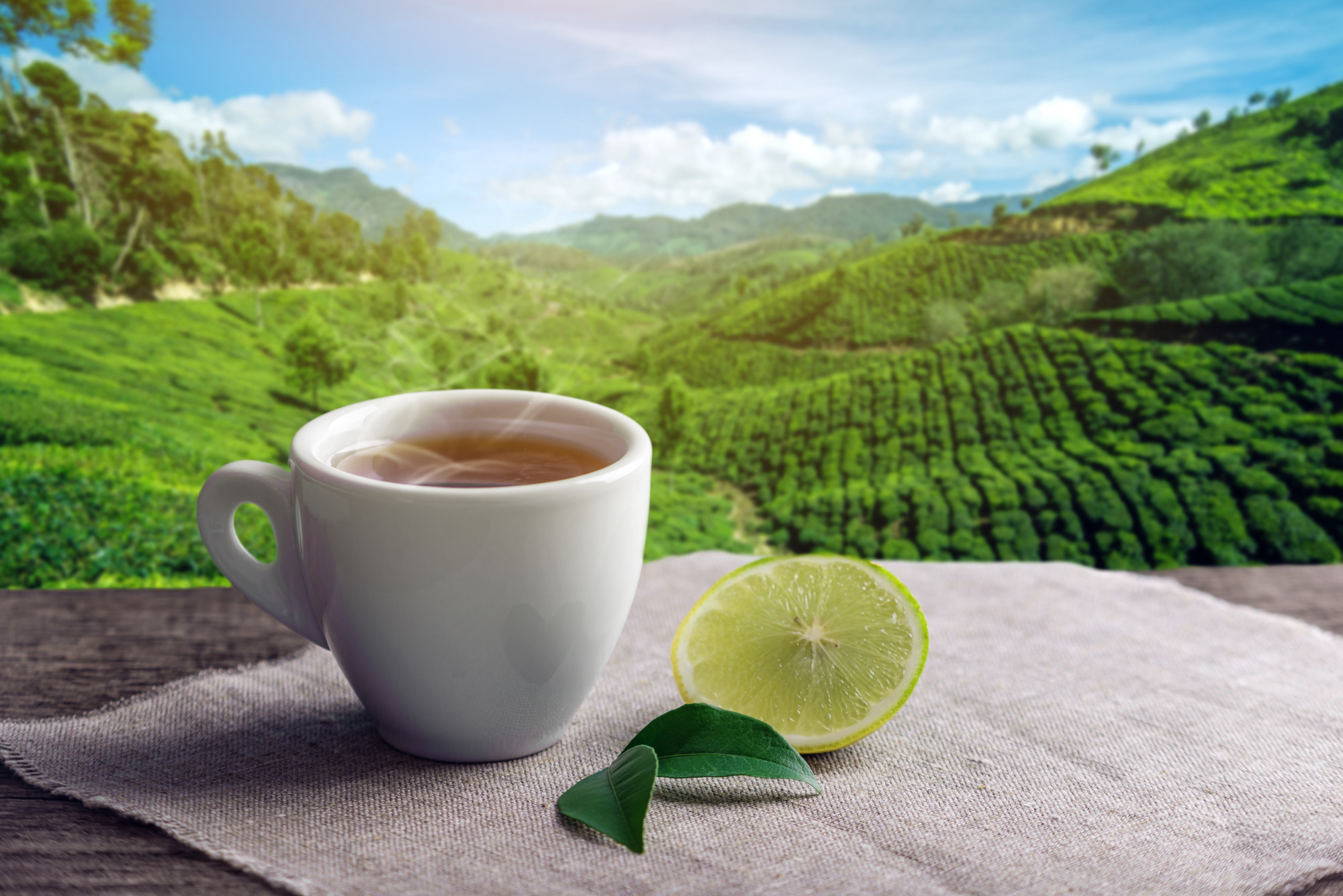 Assam Tea:Nutrition, Benefits, and Precautions