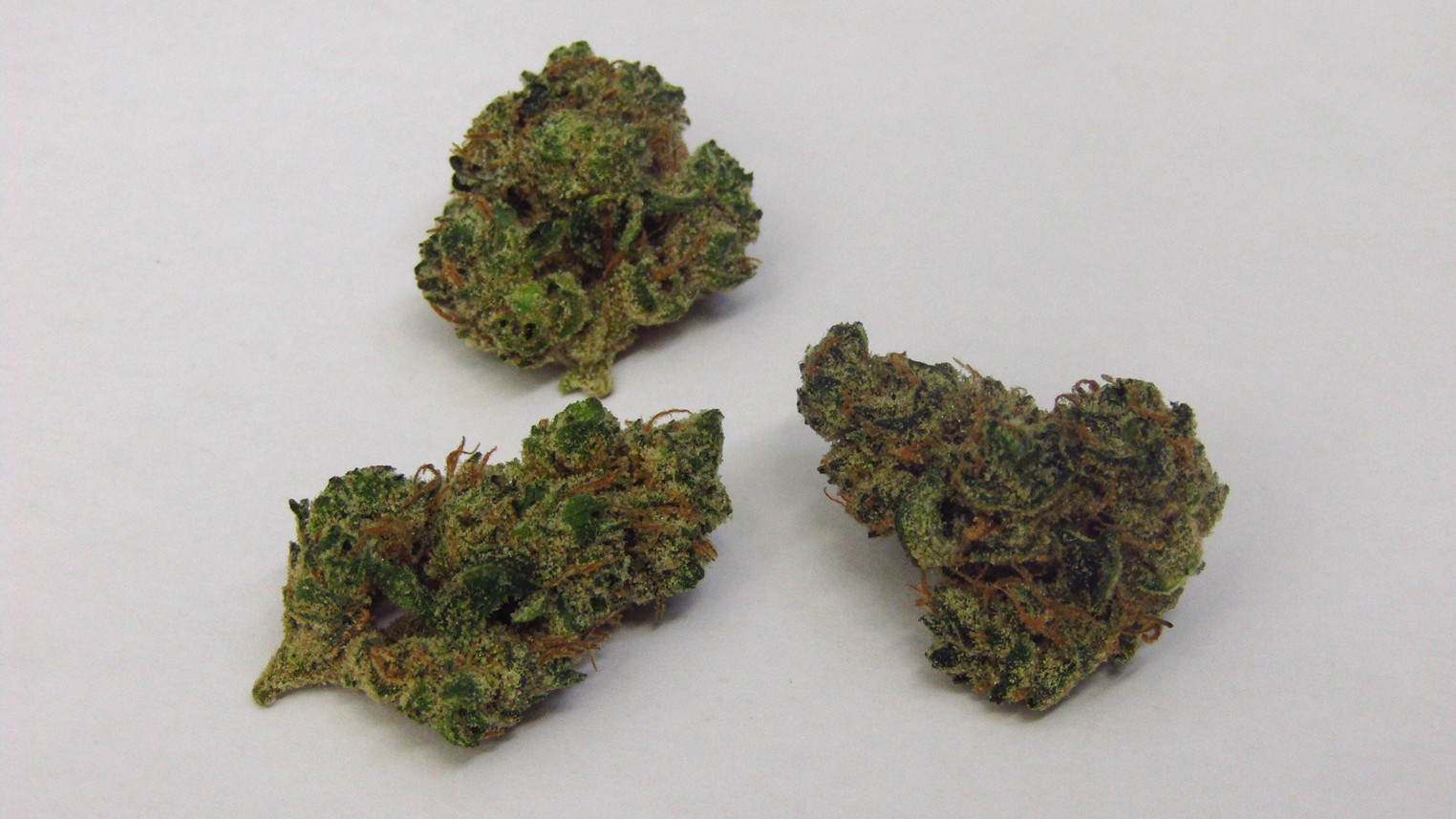 Jungle Diesel Marijuana Strain