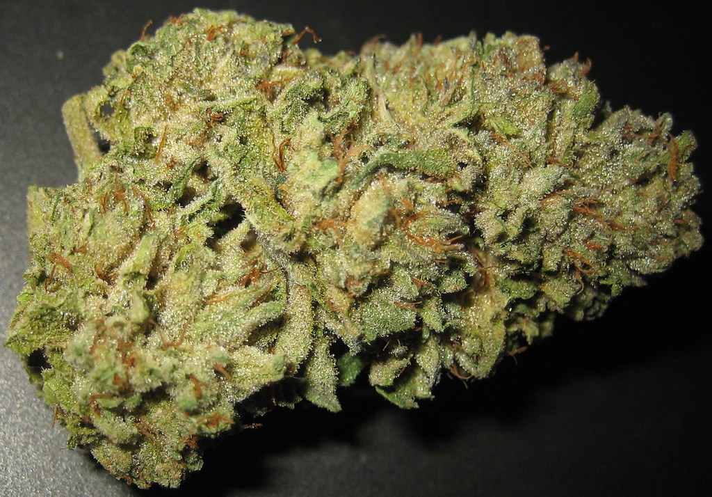 Kobain Kush Marijuana Strain