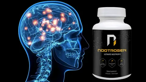 Nootropics for Stress ManagementCalm Your Mind